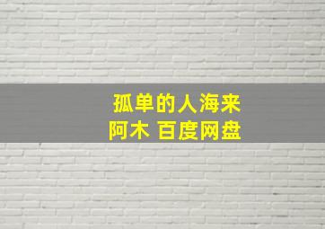 孤单的人海来阿木 百度网盘